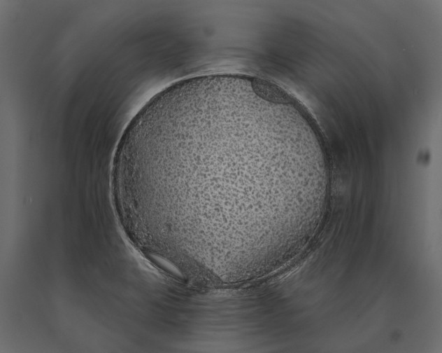X0000090461423200708031230