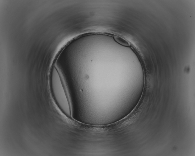 X0000090461424200708031230