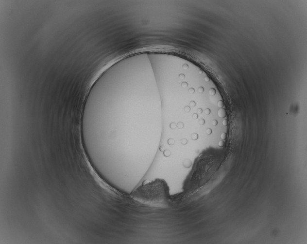 X0000090461425200708031230