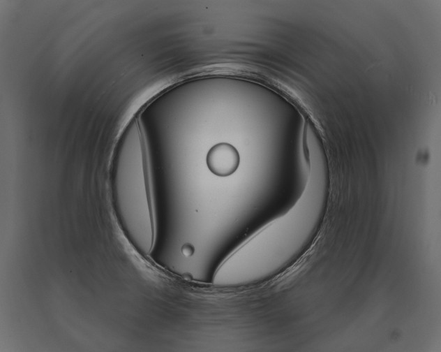 X0000090461426200708031230