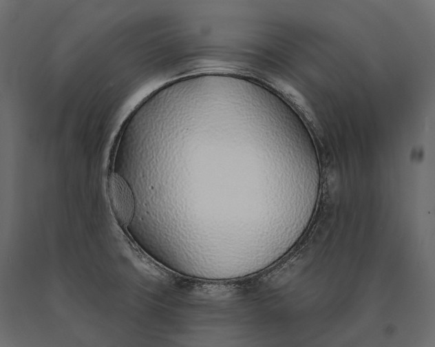 X0000090461427200708031230