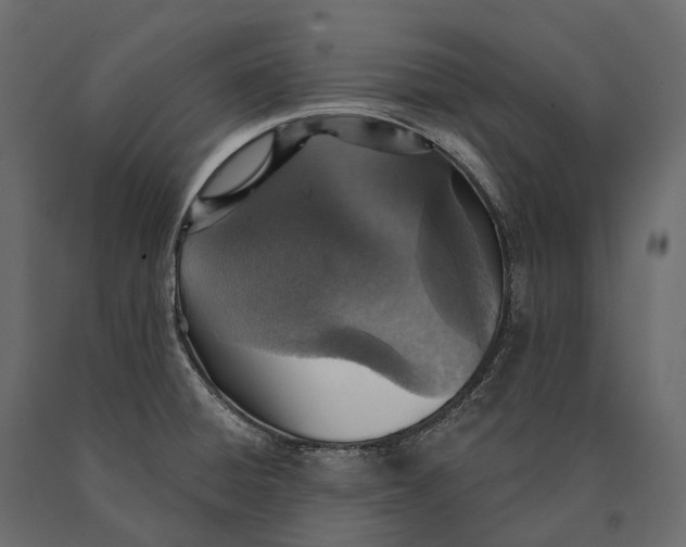 X0000090461428200708031230