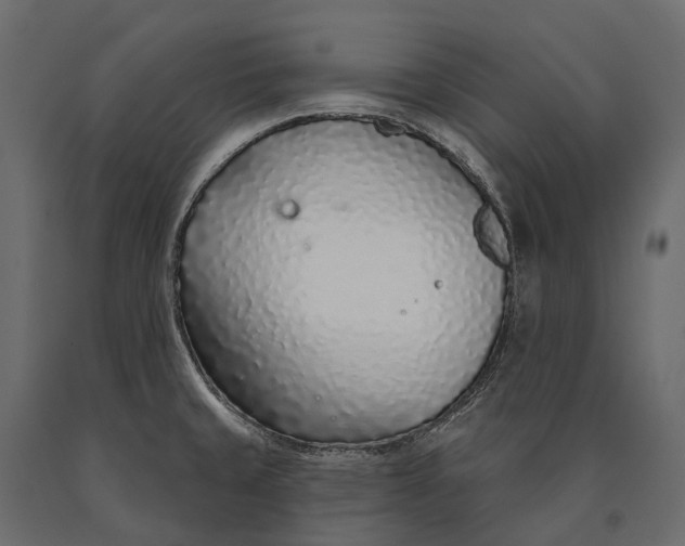 X0000090461429200708031230