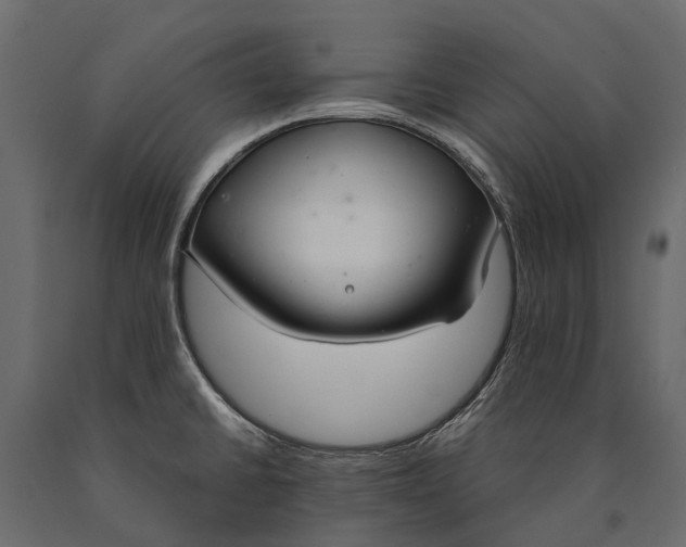 X0000090461430200708031230