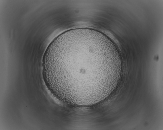 X0000090461431200708031230