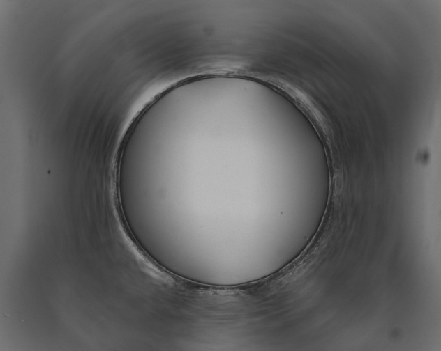 X0000090461432200708031230