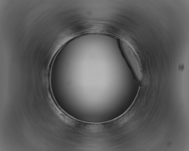 X0000090461434200708031231