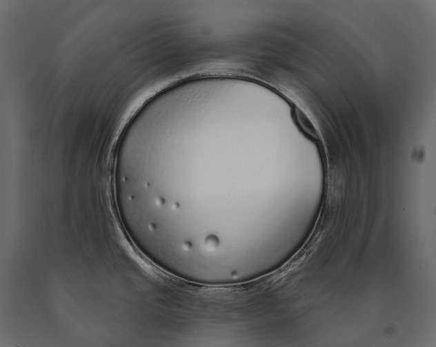 X0000090461437200708031231