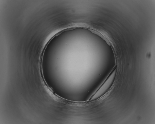 X0000090461438200708031231