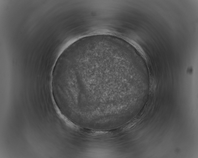 X0000090461439200708031231