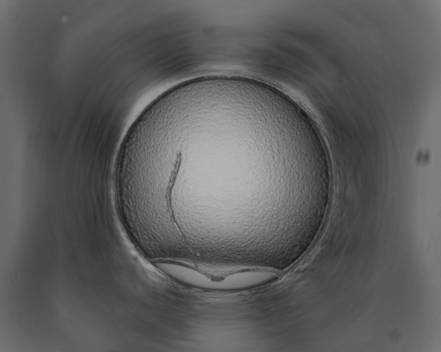 X0000090461440200708031231