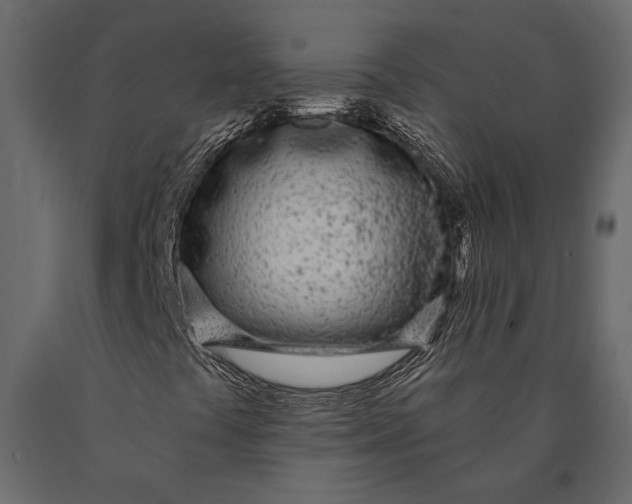 X0000090461441200708031230