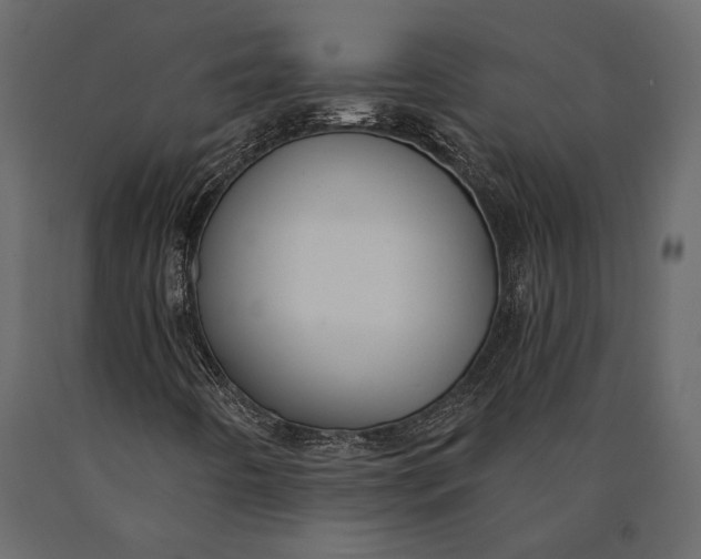 X0000090461442200708031230