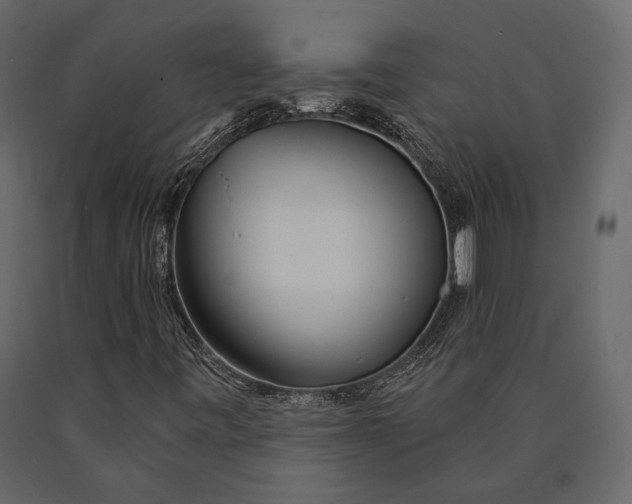 X0000090461443200708031230