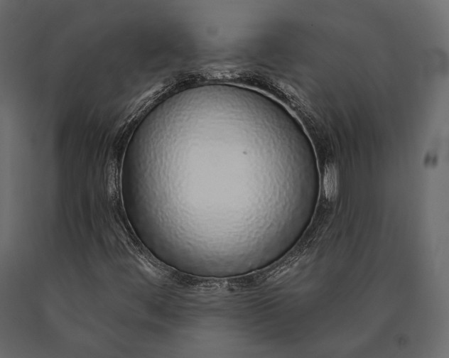 X0000090461444200708031230