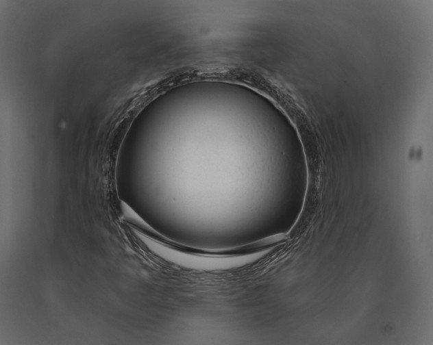 X0000090461445200708031230
