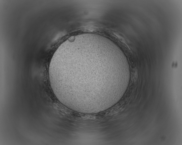 X0000090461446200708031230