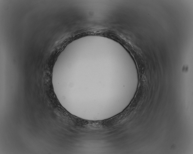 X0000090461447200708031230