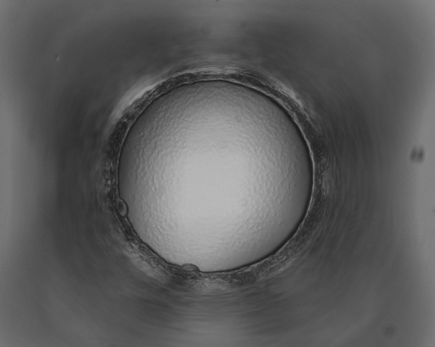 X0000090461448200708031230