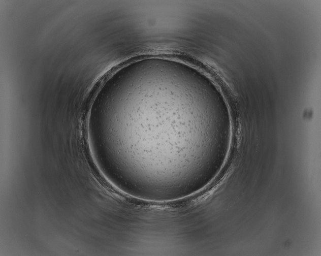 X0000090461449200708031230