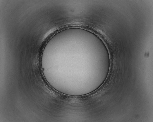 X0000090461450200708031230