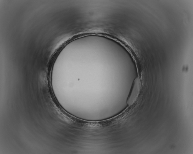 X0000090461452200708031230