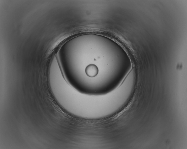 X0000090461453200708031230
