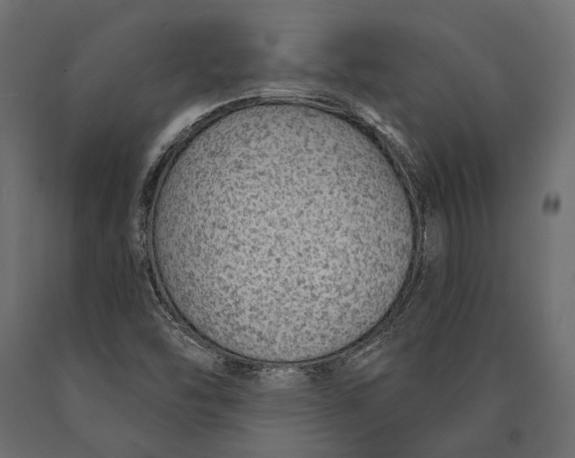 X0000090461454200708031230