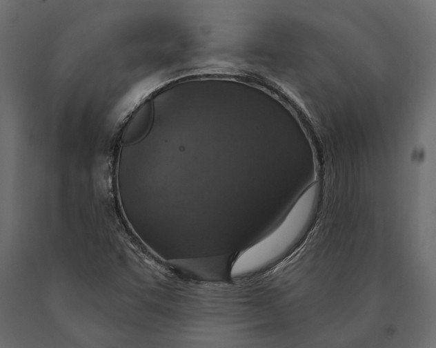 X0000090461455200708031230