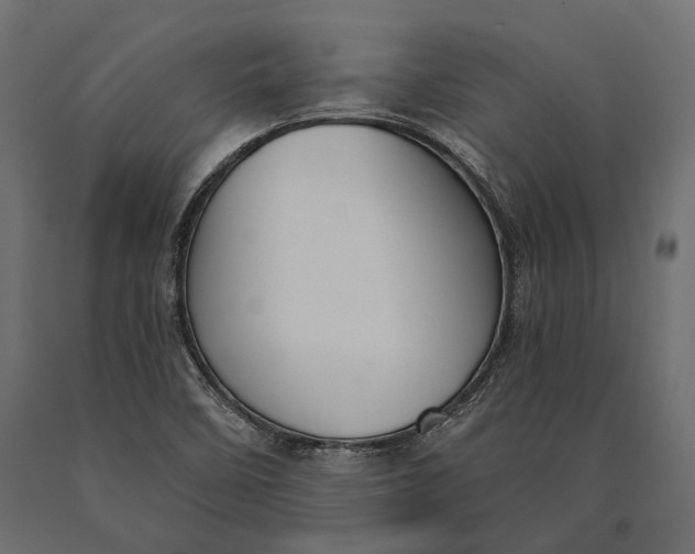 X0000090461458200708031230