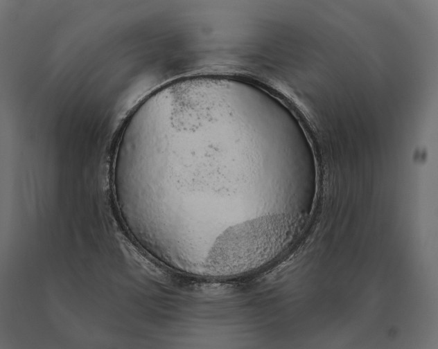 X0000090461459200708031230