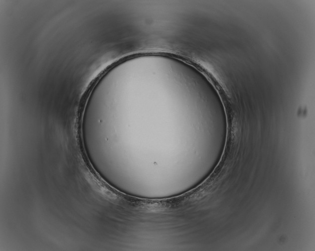 X0000090461460200708031230