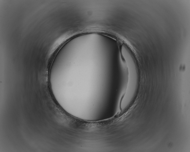 X0000090461461200708031230