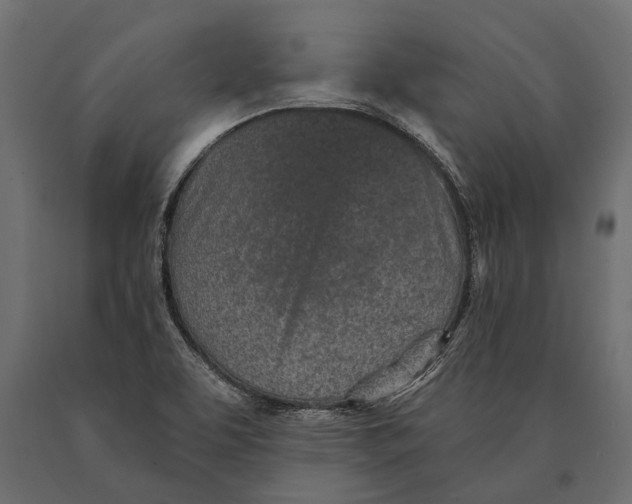 X0000090461463200708031230