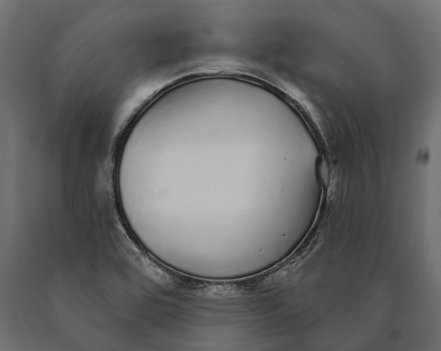 X0000090461464200708031230