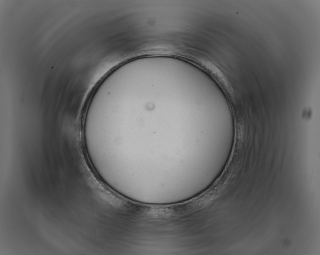 X0000090461466200708031230