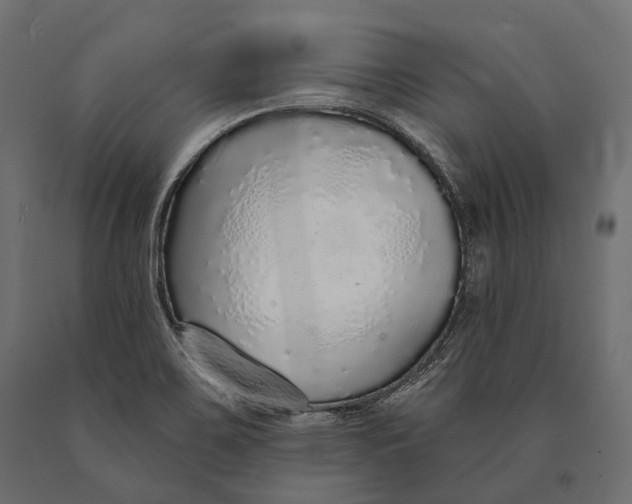 X0000090461467200708031230