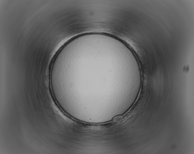 X0000090461468200708031230