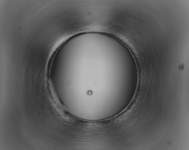 X0000090461469200708031230