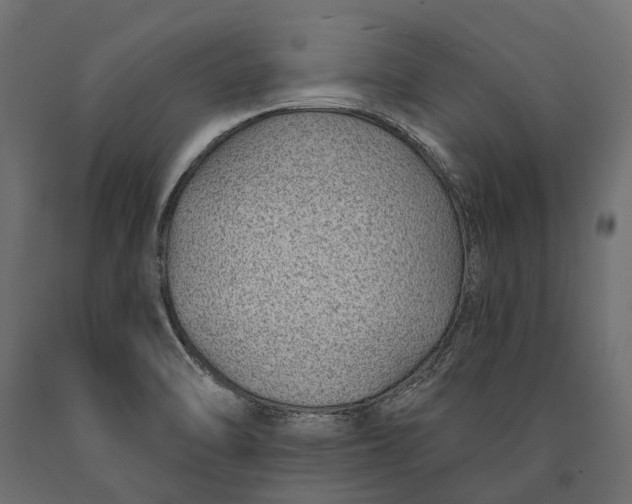 X0000090461470200708031230