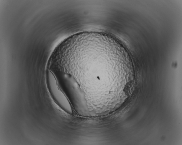 X0000090461471200708031230