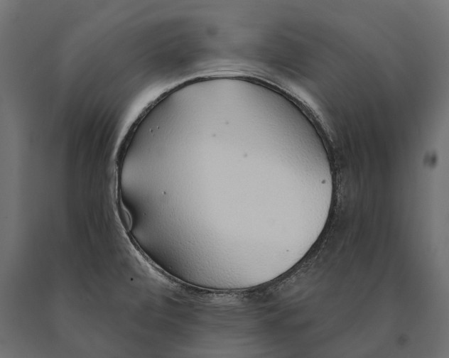 X0000090461472200708031230