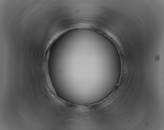 X0000090461473200708031229