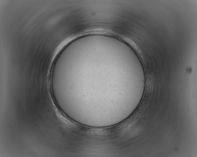 X0000090461474200708031229