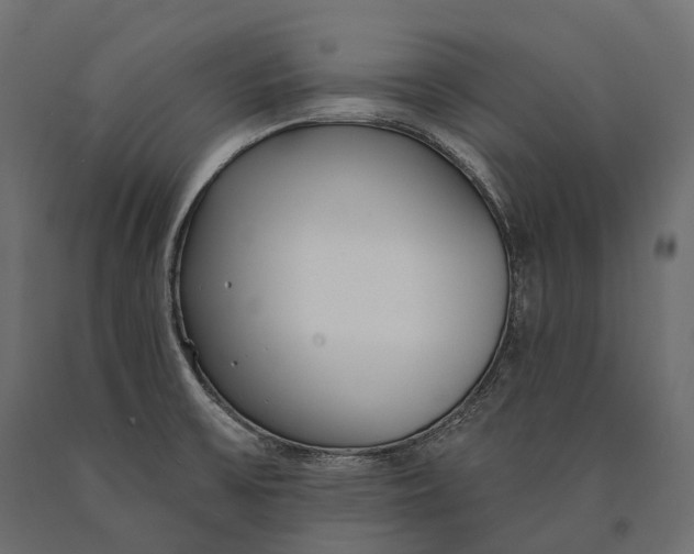 X0000090461475200708031229
