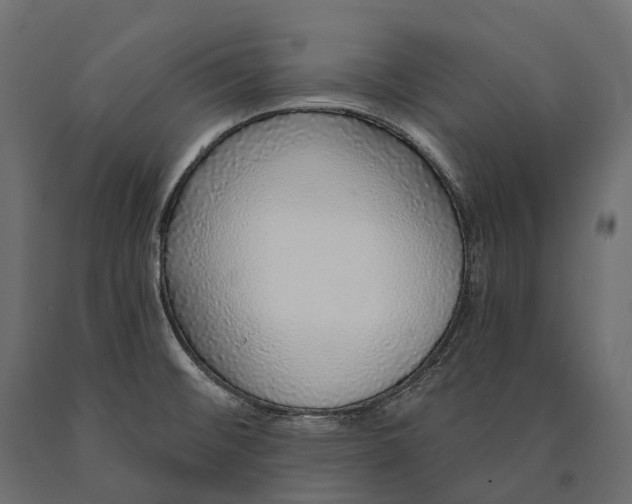 X0000090461476200708031229