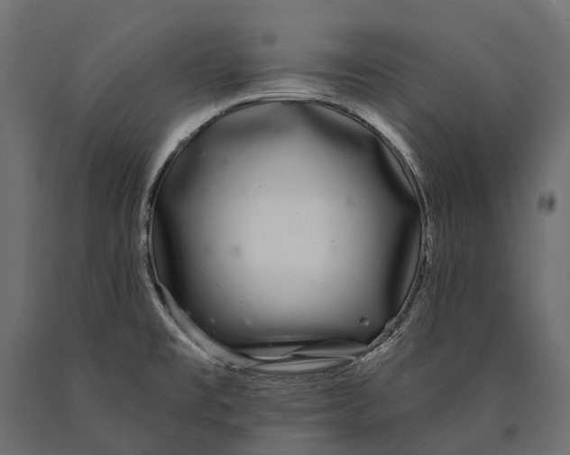 X0000090461477200708031229