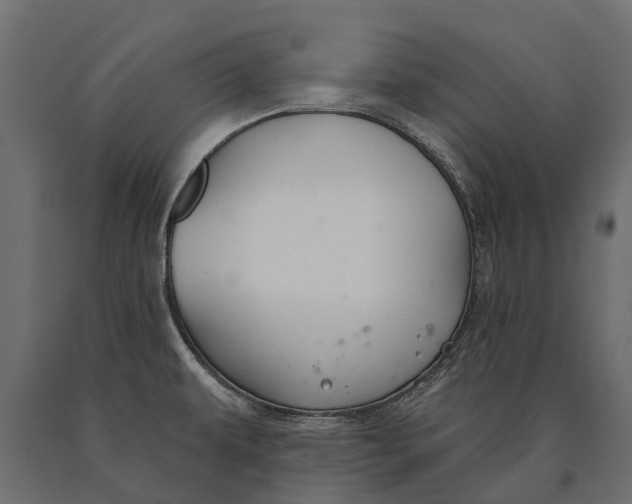 X0000090461479200708031229