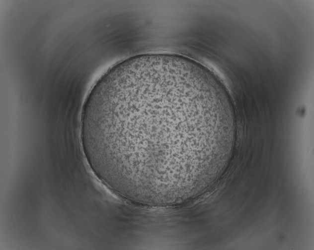X0000090461480200708031229