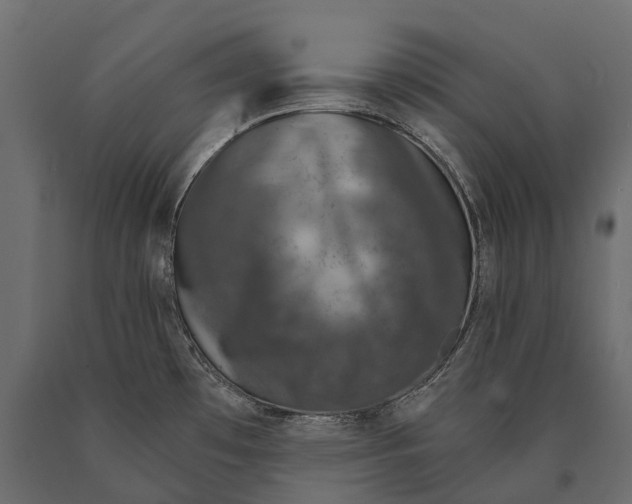 X0000090461481200708031229